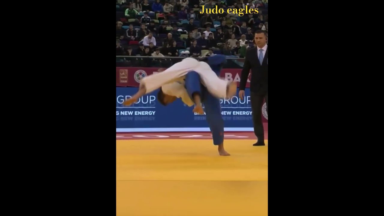 轻后卫