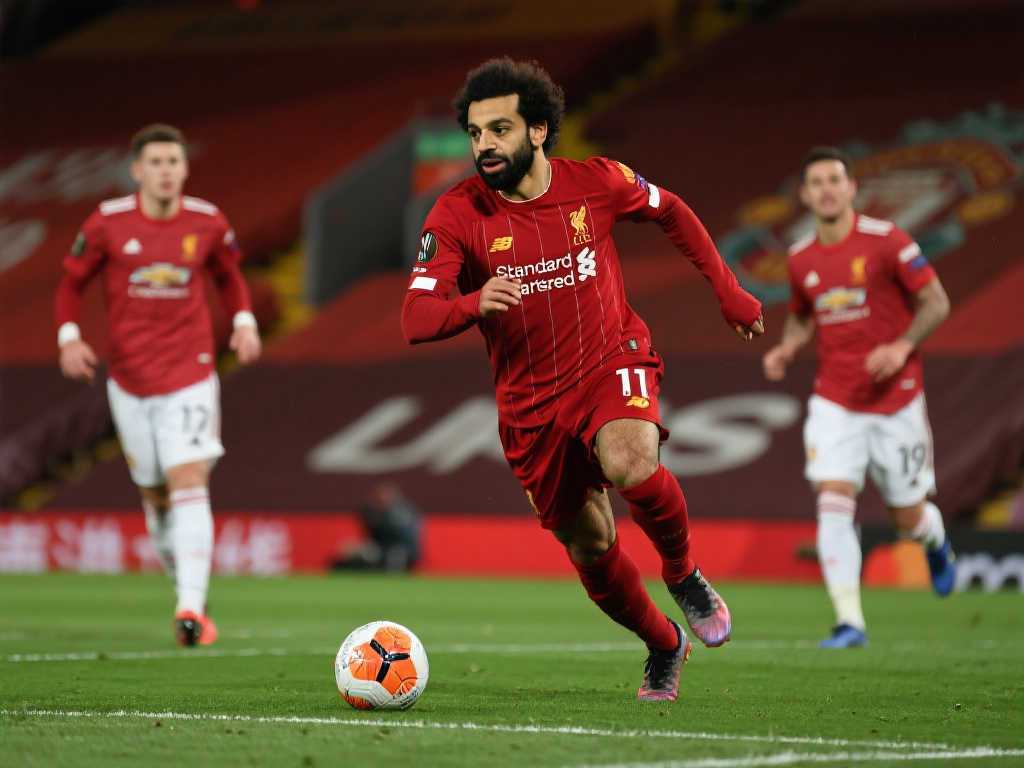 的平台获得 的平台获得