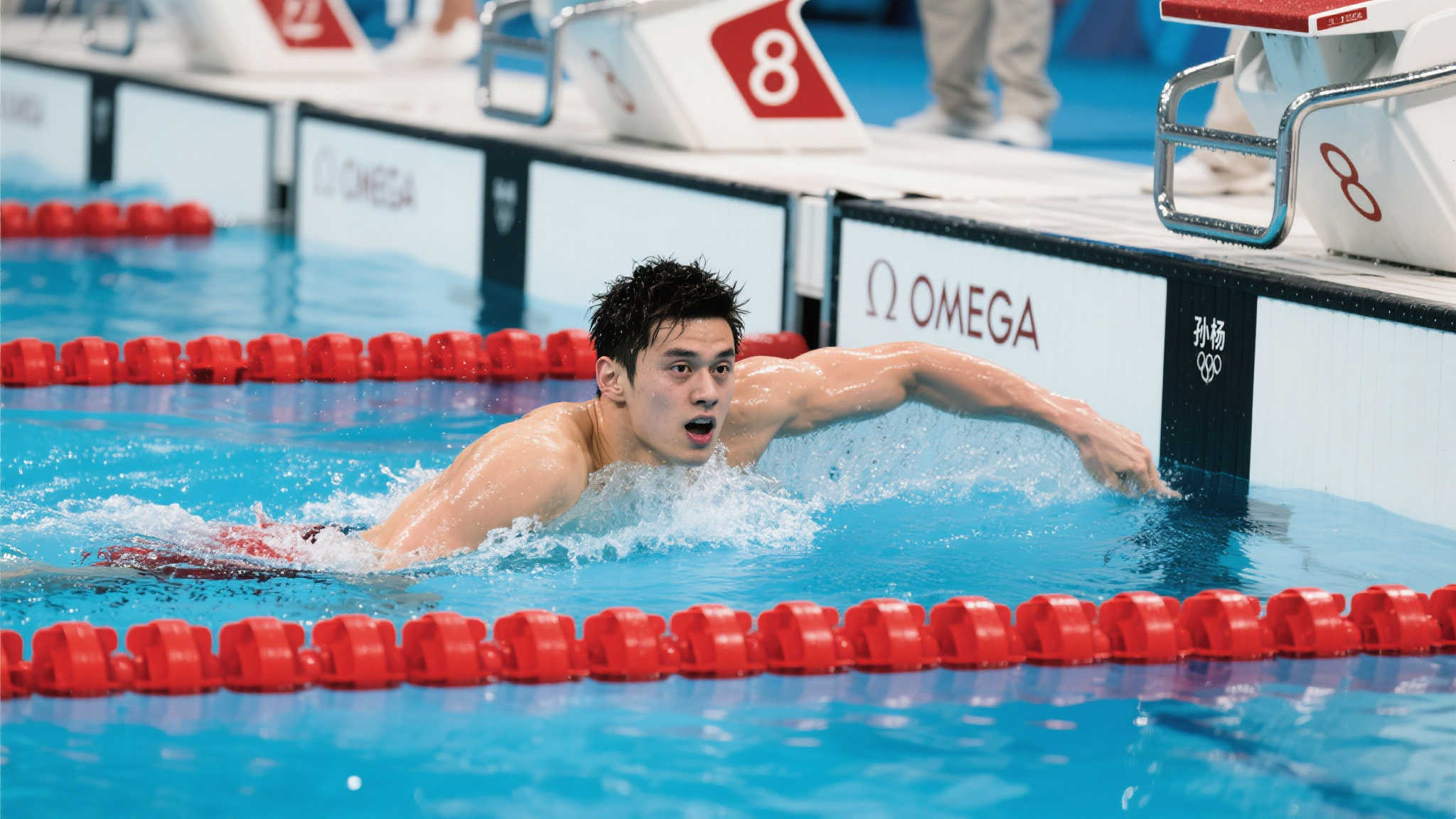 到这支球队 到这支球队