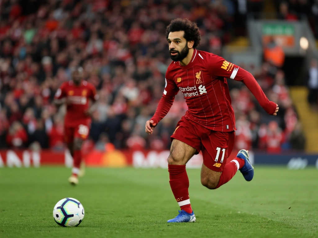 高的荣誉 高的荣誉