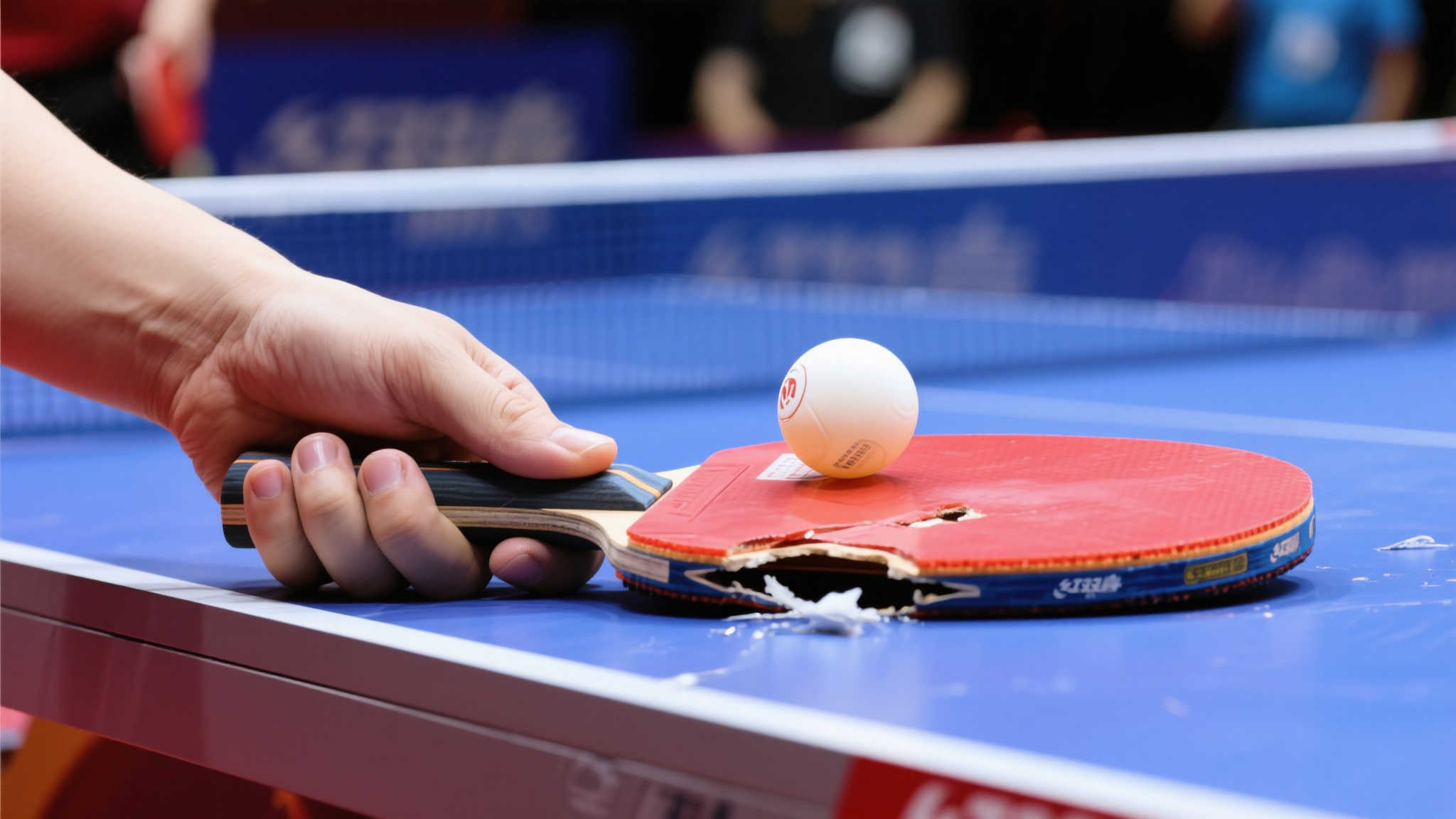 这种成长背 这种成长背